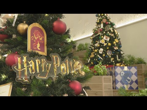 魔法魔術学校へようこそ「ハリー・ポッター　ホグワーツのクリスマス」