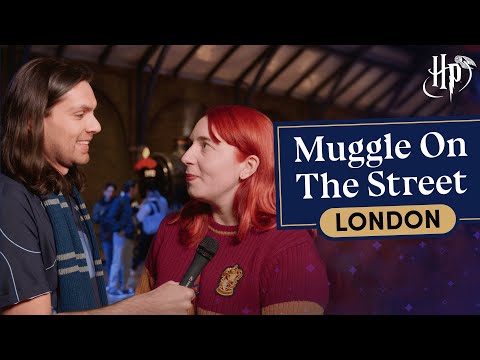 How Did Your Harry Potter Journey Begin? | Muggle On The Street