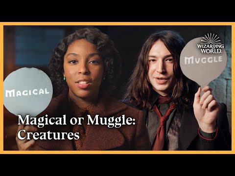 Magical or Muggle: Creatures | Fantastic Beasts: The Secrets of Dumbledore