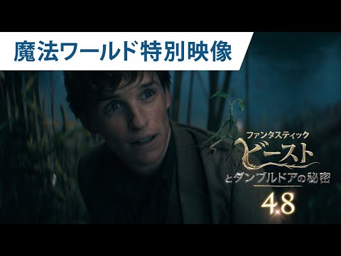 映画『ファンタスティック・ビーストとダンブルドアの秘密』魔法ワールド特別映像 2022年4月8日（金）公開