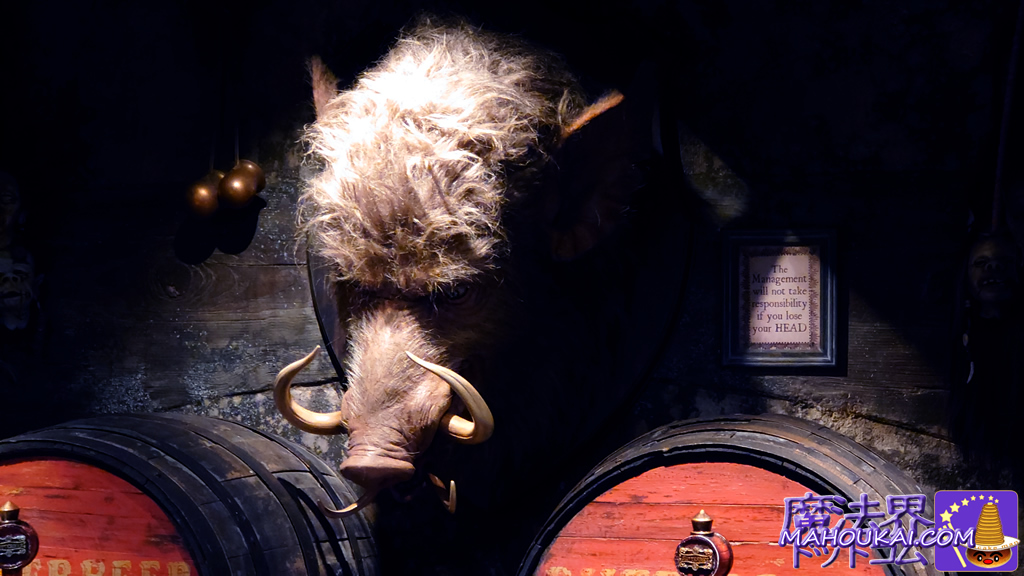 Hog's Head pub (USJ 'Harry Potter area') Hidden spots Boar's Head