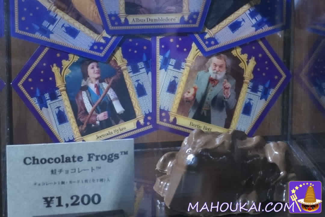 Jocunda Sykes Bertie Bott Frogs Chocolate Greats Card USJ Harry Potter Area