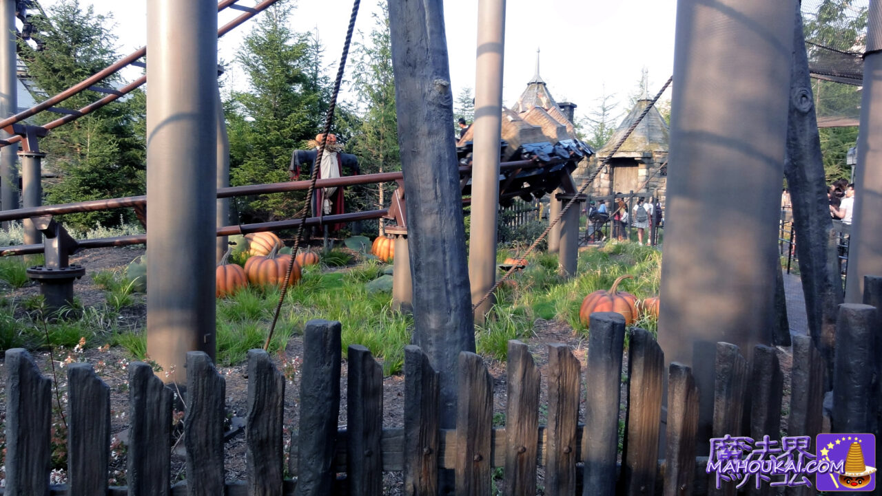 Hagrid's Hut is in the Hippogriff area.