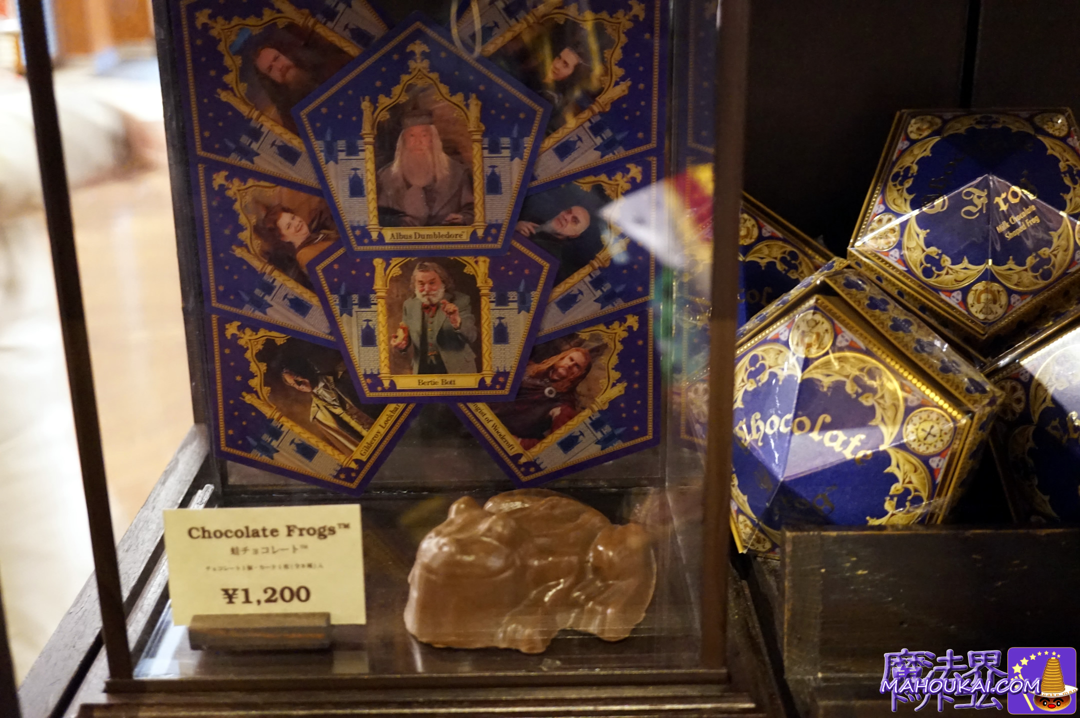 蛙チョコレート（Chocolate Frog） ハニーデュークス（USJ 「ハリー