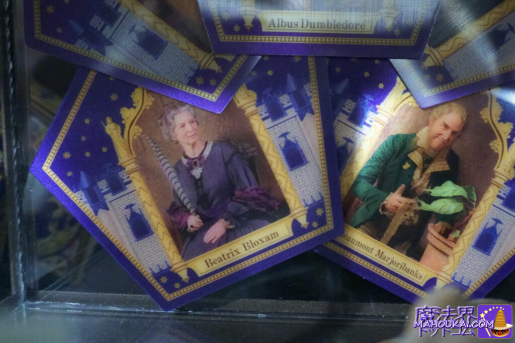 21st person . Beatrix Bloxam, frog chocolate card, Harry Potter.