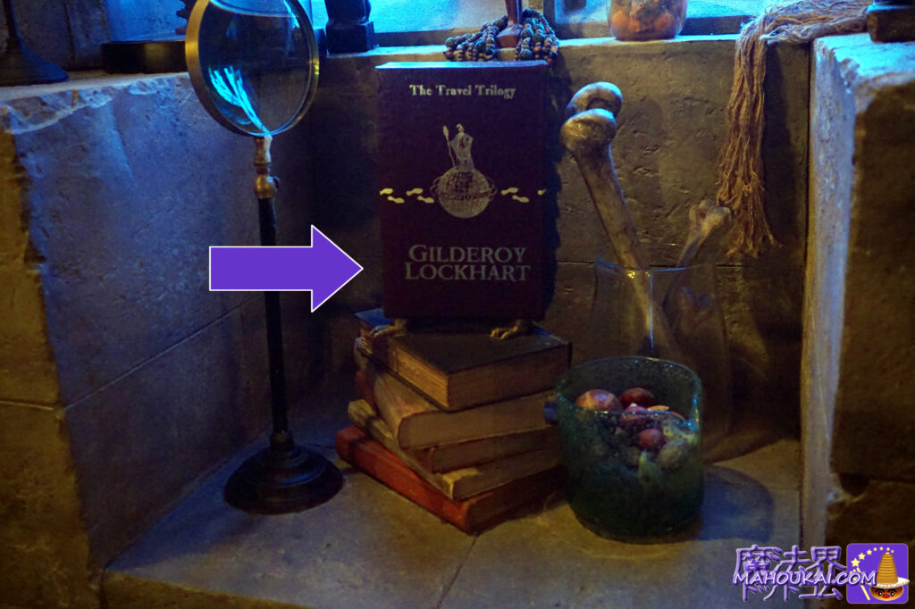 Professor Gilderoy Lockhart Books Hogwarts Castle Tours Hogwarts Castle Walk 'Harry Potter Area'