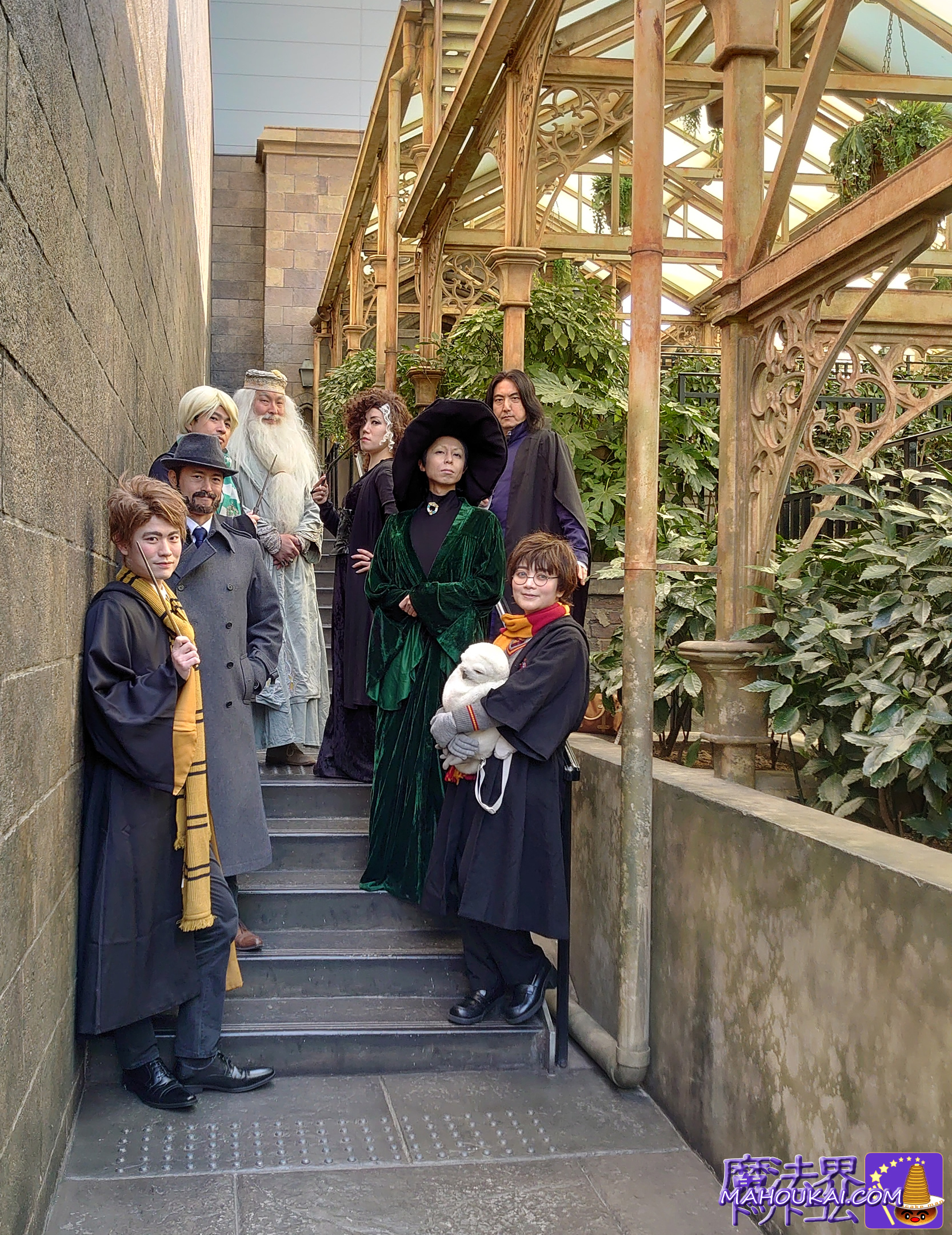 Hogwarts Castle Walk Dr Sprout's Conservatory Staircase USJ Hogwarts Castle Tour Entrance