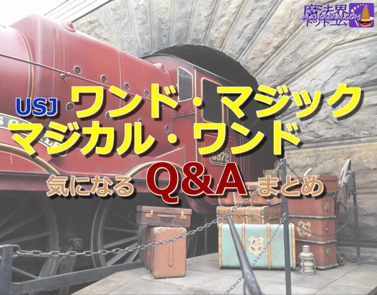 ４．質問ワンド・マジック（魔法の杖：マジカル ワンド）について疑問点まとめ★杖の貸し借りは大丈夫？など（USJ ハリー・ポッター エリア）