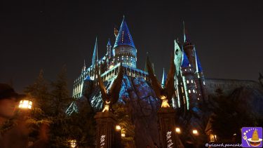 (3) USJ "Harry Potter Area", for those who can't make it to the Expecto Patronum Night Show (super-spoiler alert) or can only see it once!