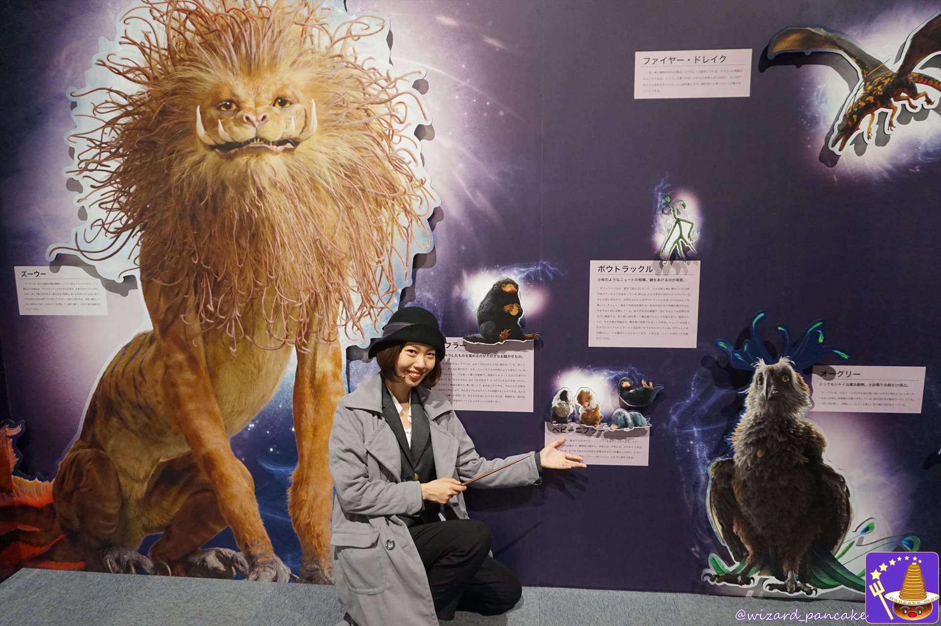 ベニーニフラー　魔法動物のパネル展示と説明　ラフォーレ原宿2018年12月