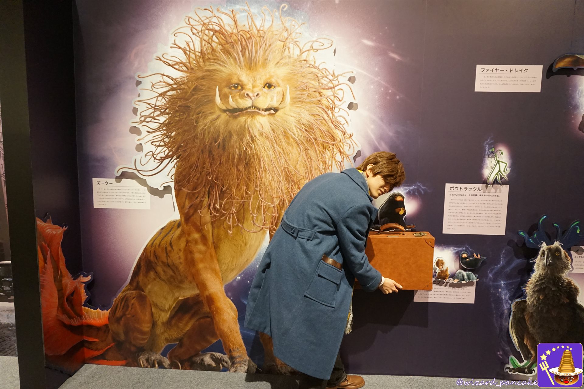 ベビーニフラーとニュートのトランク　　魔法動物のパネル展示と説明　ラフォーレ原宿2018年12月