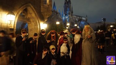 Hogwarts professors in full force! Little Harry & Hermione Double Dumbledore and the Harriotta fancy dress â