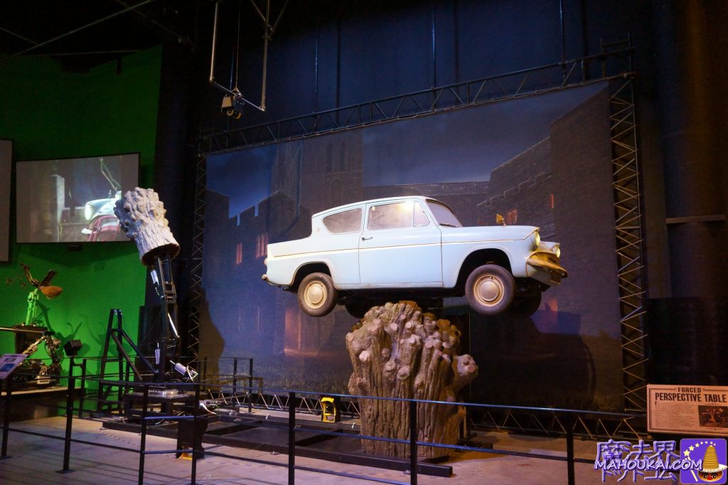 ロンのパパの空飛ぶ車フォードアングリアと暴れ柳の撮影　ワーナー・ブラザース ハリー・ポッター スタジオツアー（イギリス／ロンドン）