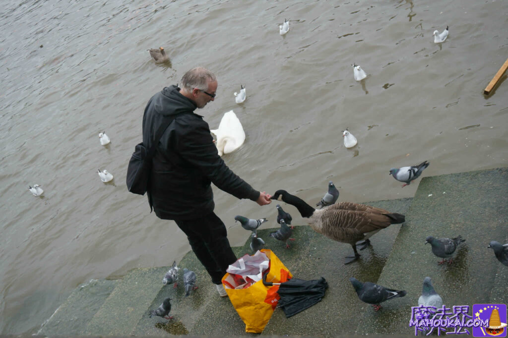 おまけ：テムズ川で、ふくろう便改めカモ便にお礼をしている魔法使いのオジサン　　ロンドン 映画ハリー・ポッター 撮影ロケ地巡り