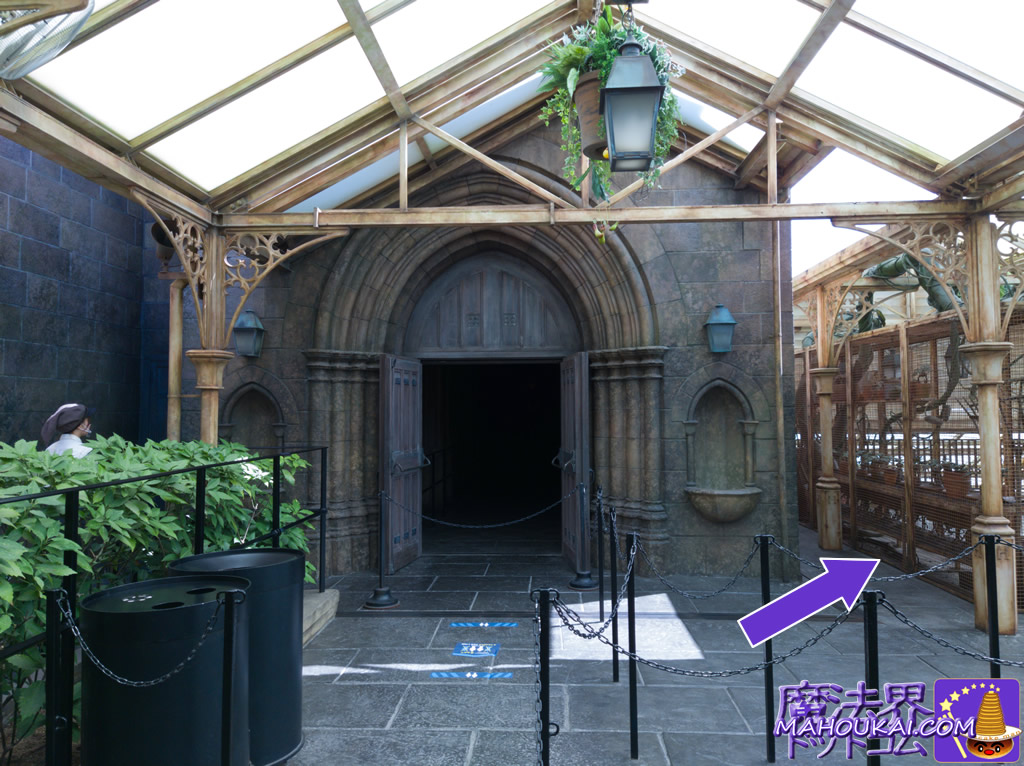 Mandrakes, Professor Sprout's Greenhouse, 2nd floor, Harry Potter area, USJ Hogwarts.