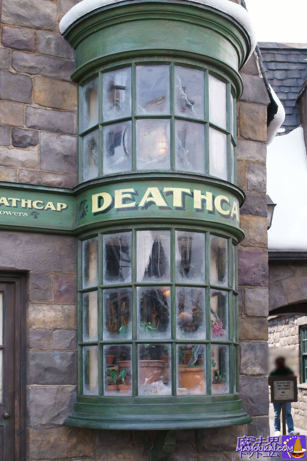 Mandrakes DOGWEED and DEATHCAP 'Harry Potter Area' USJ
