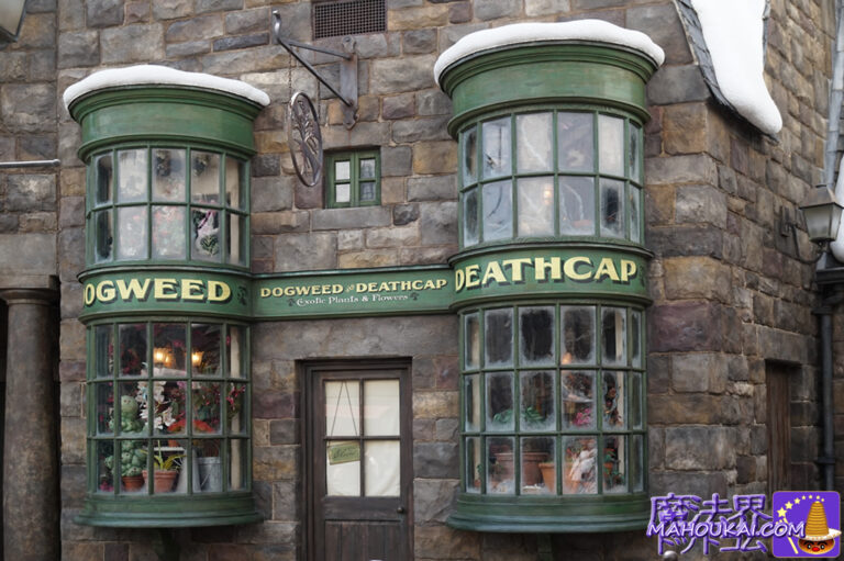 DOGWEED and DEATHCAP Harry Potter Area USJ