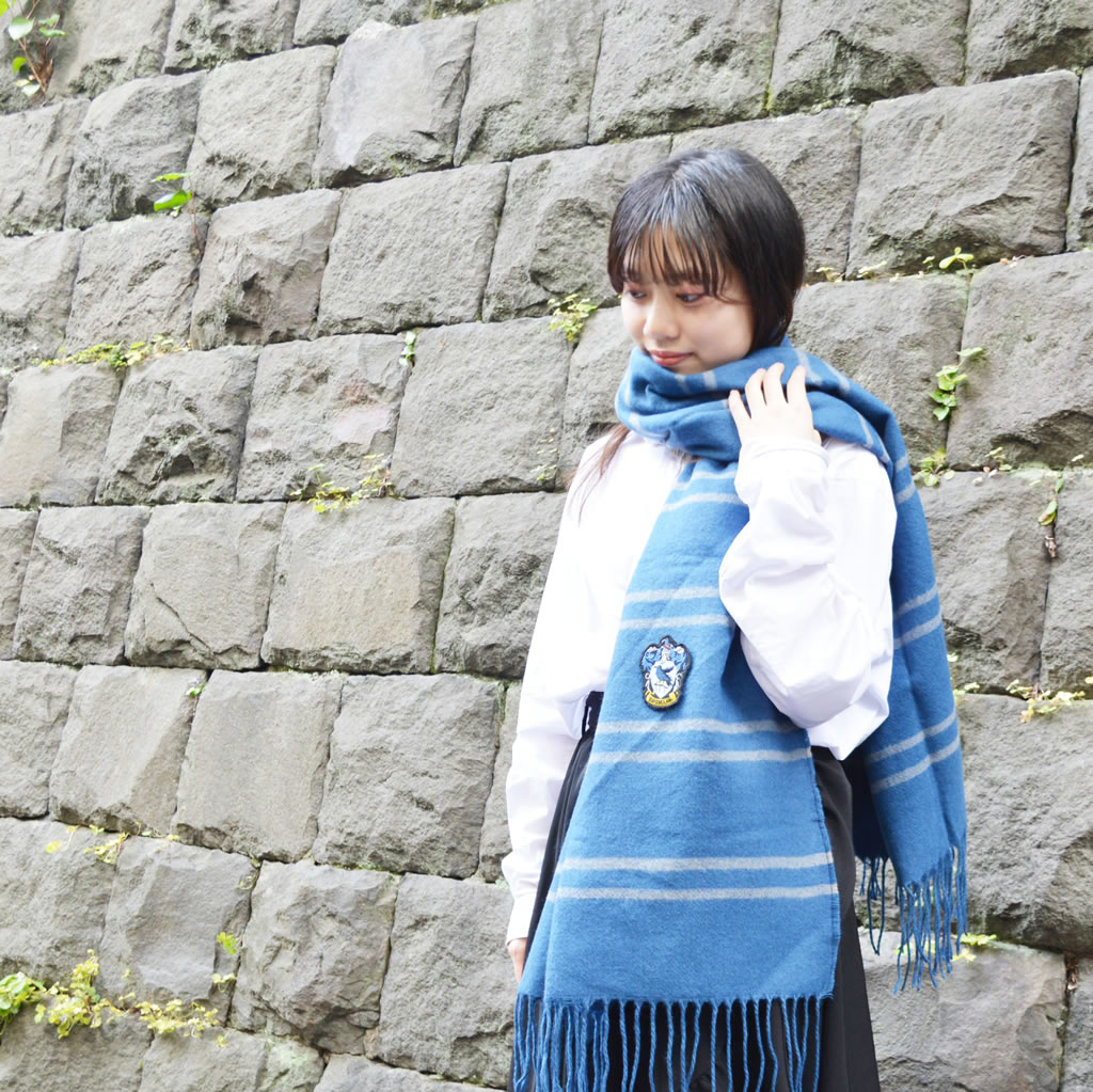 Harry Potter scarf-style stole.