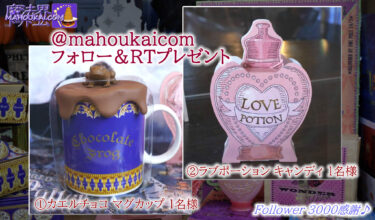 Ended [Present] Love Potion & Frog Chocolate Mug USJ HARRIPOTA Goods Twitter Follow & RT Present