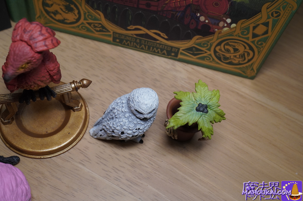 Hedwig & Mandrake Magical Creatures Collection (Harry Potter)