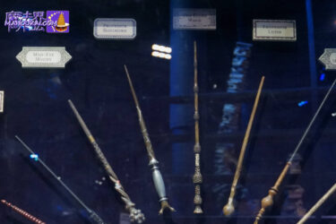 【詳細レポート】ニワトコの杖 The Elder Wand ｜ 杖の所有者と持ち主、本物の映画小道具（PROP）ハリー・ポッター スタジオ ツアー ロンドン