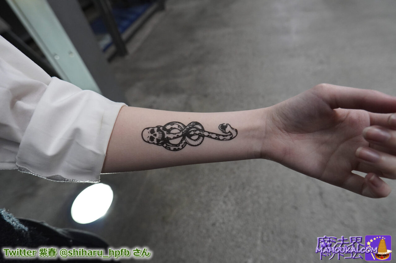 Death Eaters Dark Mark, Slytherin raw to wear on arms.