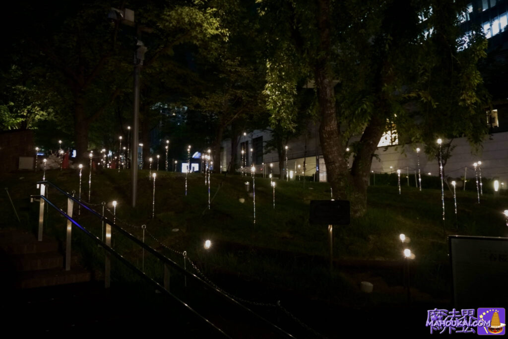 夜の赤坂ACTシアター前のライティング 夜景 