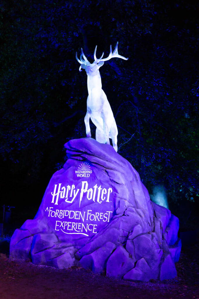 ハリー・ポッター フォービドゥン フォレスト エクスペリエンス 禁じられた森 体験 Harry Potter A Forbidden Forrest Experience 2022年はアメリカ 2つの森とイギリス 2回目開催！
