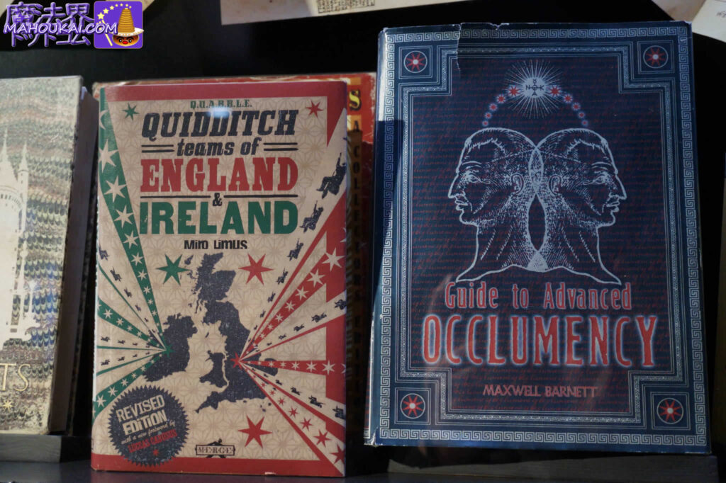QUIDDITCH teams of ENGLAND & IRELAND｜イングランドとアイルランドのクィディッチ チーム