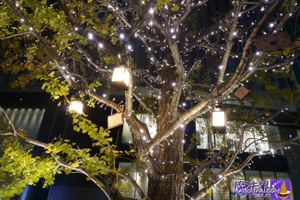 【訪問レポート】梅田 ハリー・ポッター ランタン イルミネーションを探せ♪グランフロント大阪 2022年クリスマス イベント