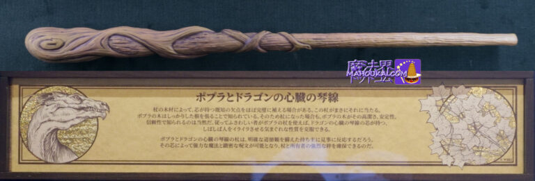 USJ New Magical Wand Introduction & Wand Core and Material Properties 'Poplar and Dragon Heartstrings' Wand｜Harry Potter Area Ollivander