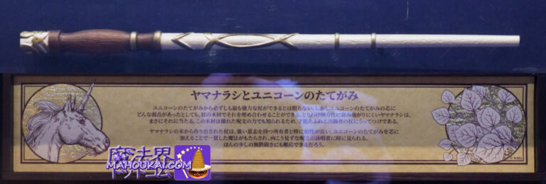 USJ New Magical Wand Introduction & Wand Core and Material Properties The Porcupine and Unicorn Mane wands｜Harry Potter Area Ollivander
