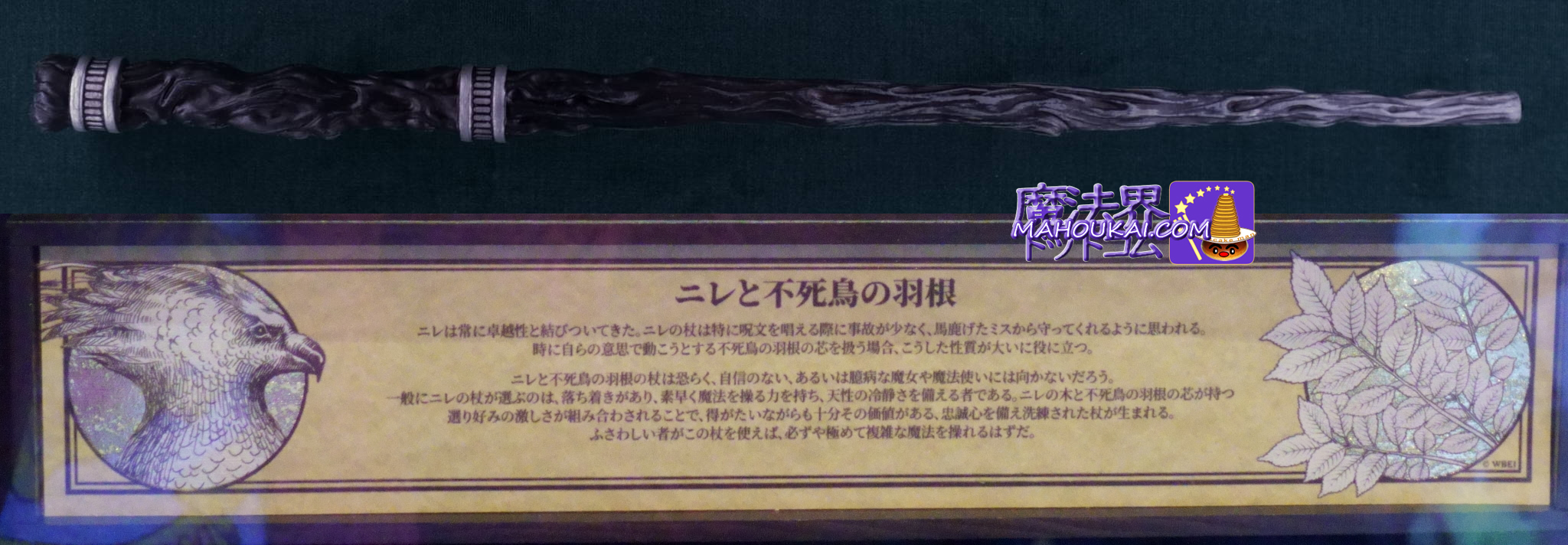 USJ 「ニレと不死鳥の羽根」の杖 新マジカル・ワンド 杖芯と素材の特性 紹介「ハリー・ポッター エリア」 オリバンダー - 魔法界ドットコム｜ハリー・ ポッター情報サイト