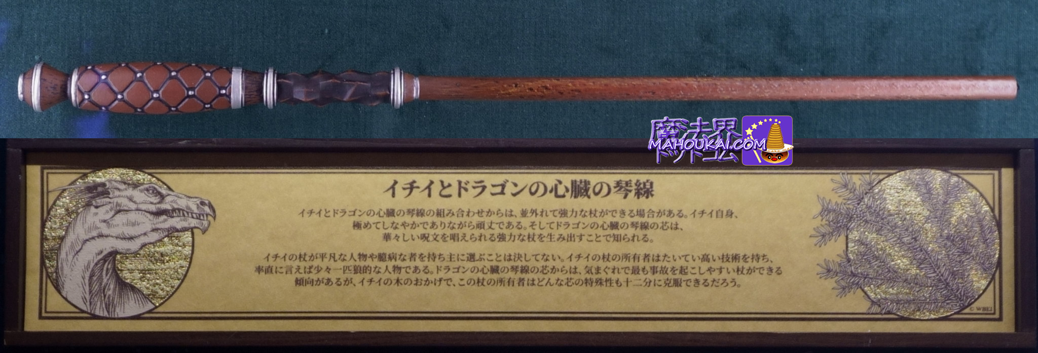 USJ 「イチイ（櫟）とドラゴンの心臓の琴線（きんせん）」の杖 新マジカル・ワンド 杖芯と素材の特性 紹介「ハリー・ポッター エリア」 オリバンダー  - 魔法界ドットコム｜ハリー・ポッター情報サイト