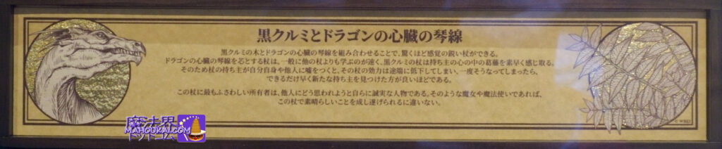 杖の特性の説明｜黒クルミとドラゴンの心臓の琴線（きんせん）の杖｜マジカル・ワンド  USJ 新マジカル・ワンド 紹介 ＆ 杖芯と素材の特性 「黒クルミとドラゴンの心臓の琴線（きんせん）」の杖｜「ハリー・ポッター エリア」 オリバンダー