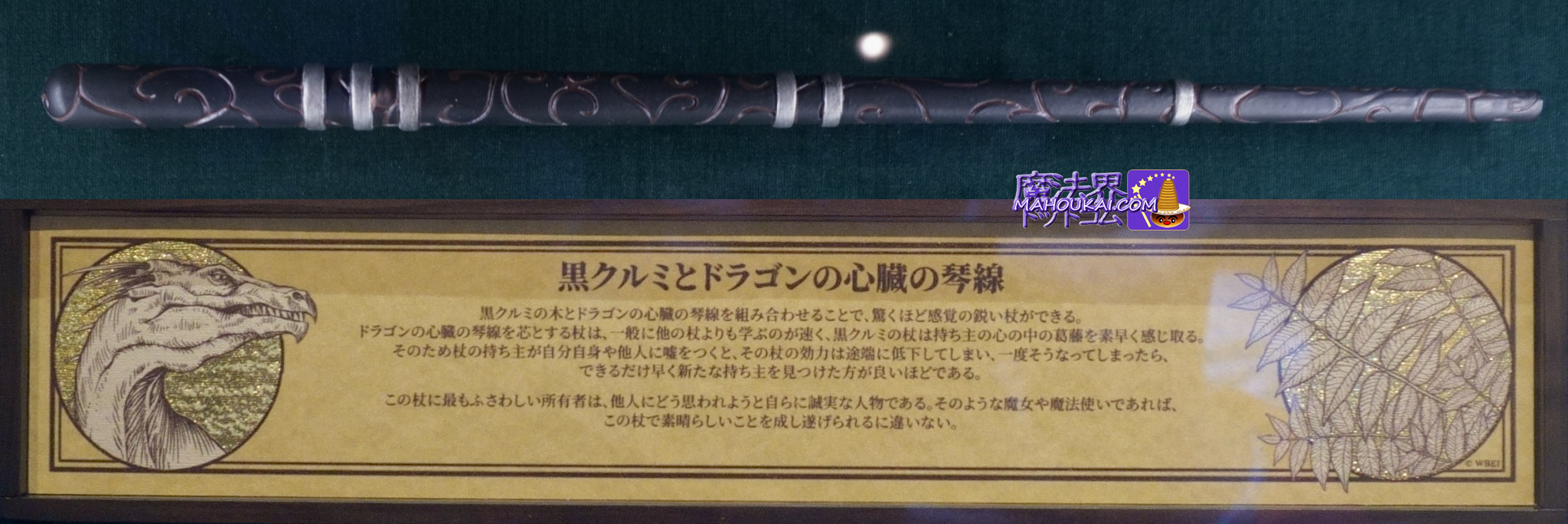 USJ 「黒クルミとドラゴンの心臓の琴線（きんせん）」の杖 新マジカル・ワンド 杖芯と素材の特性 紹介「ハリー・ポッター エリア」 オリバンダー -  魔法界ドットコム｜ハリー・ポッター情報サイト