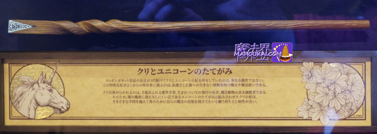 USJ 新マジカル・ワンド 紹介 ＆ 杖芯と素材の特性 「クリ（栗）とユニコーンのたてがみ」の杖｜ハリー・ポッター エリア オリバンダー