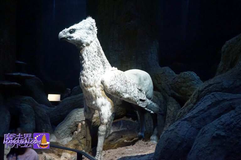 Magical Animals Hippogrife｜Harry Potter & Fantastic Beasts Harry Potter Studio Tour London Forbidden Forest