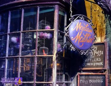 Magical Animal Pet Shop｜Magical Menagerie｜Harry Potter Studio Tour London [Detailed report] Diagon Alley.