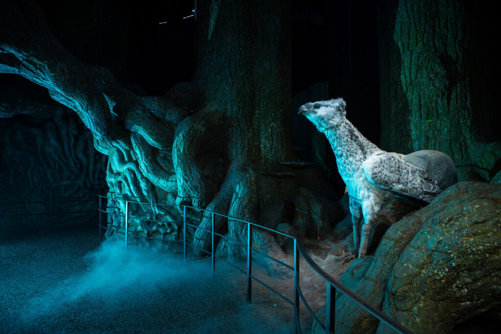Forbidden Forest and Hippogriffs｜Warner Bros Studio Tour Tokyo - Making of Harry Potter [some information on the exhibition contents released] Official website relaunched.