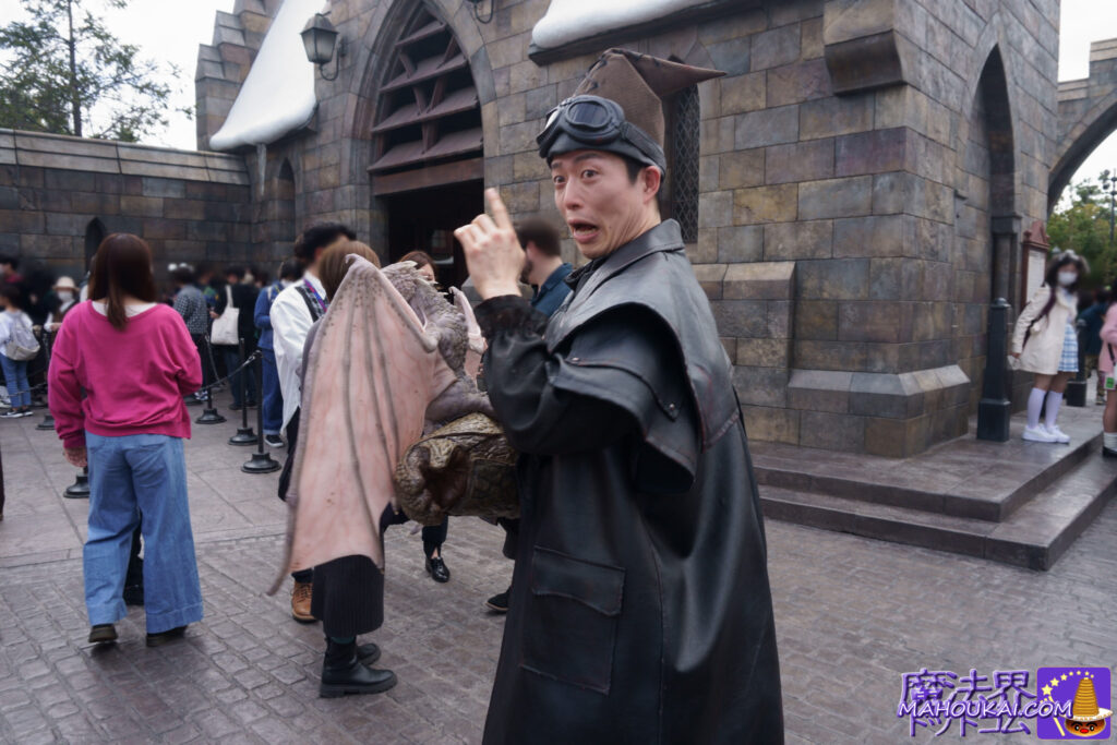 USJ 'Harry Potter Area' Magical Animals Baby Dragon show Location: square in front of Hogsmeade Station (in front of Incendio and Alohomora at Wand Magic)