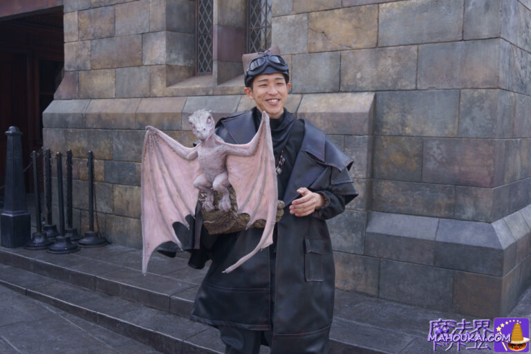 USJ 'Harry Potter Area' Magical Animals Baby Dragon show Location: square in front of Hogsmeade Station (in front of Incendio and Alohomora at Wand Magic)