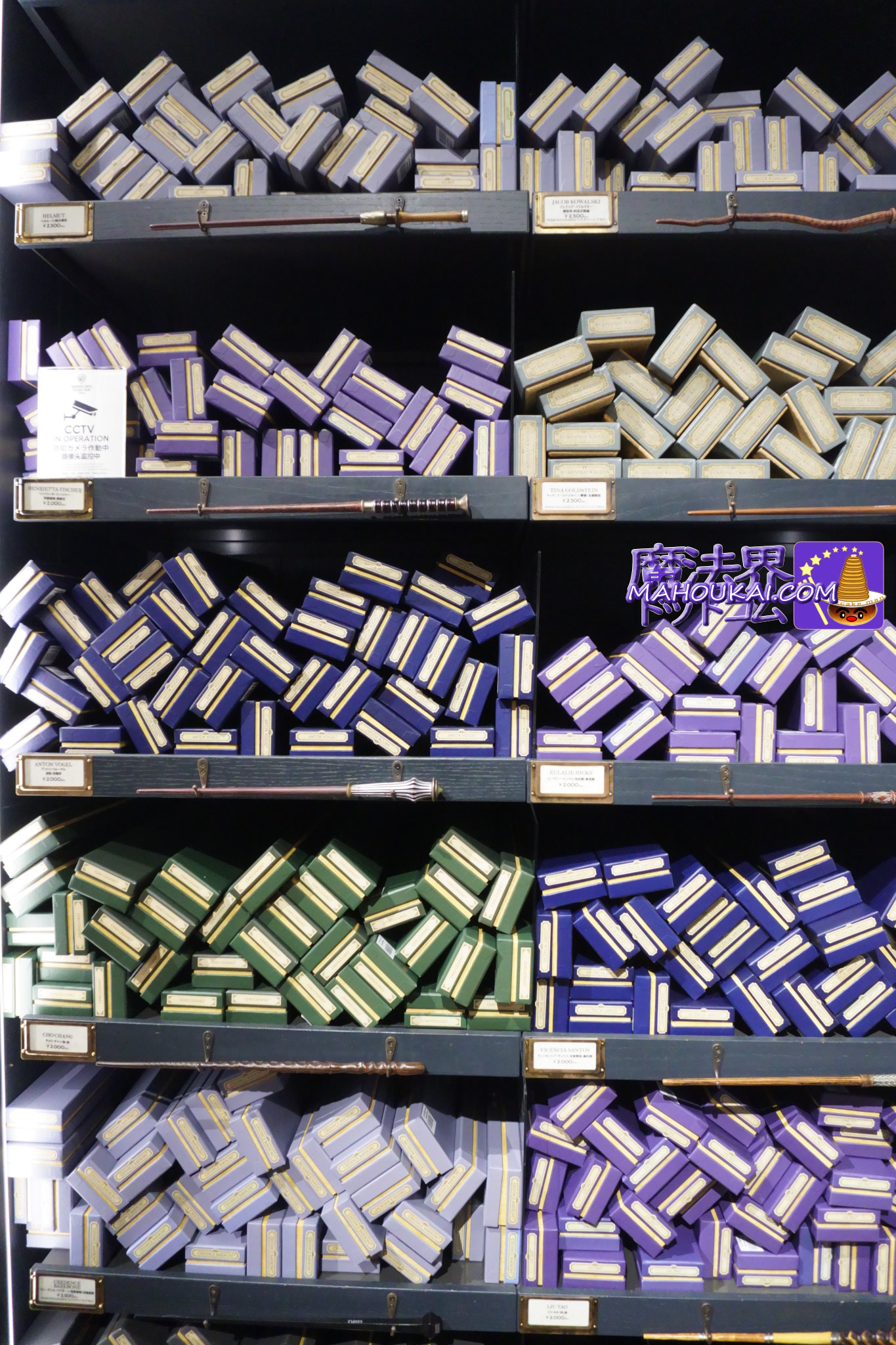 ハリー・ポッター スタジオツアー東京 杖リスト  全種類｜グッズショップのハリポタとファンタビの杖