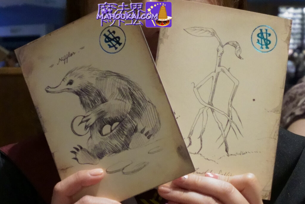 MINARIMA Newt's Memo 'Magical Animals' Sketch Postcard｜Harry Potter Studio Tour Tokyo (MINARIMA)