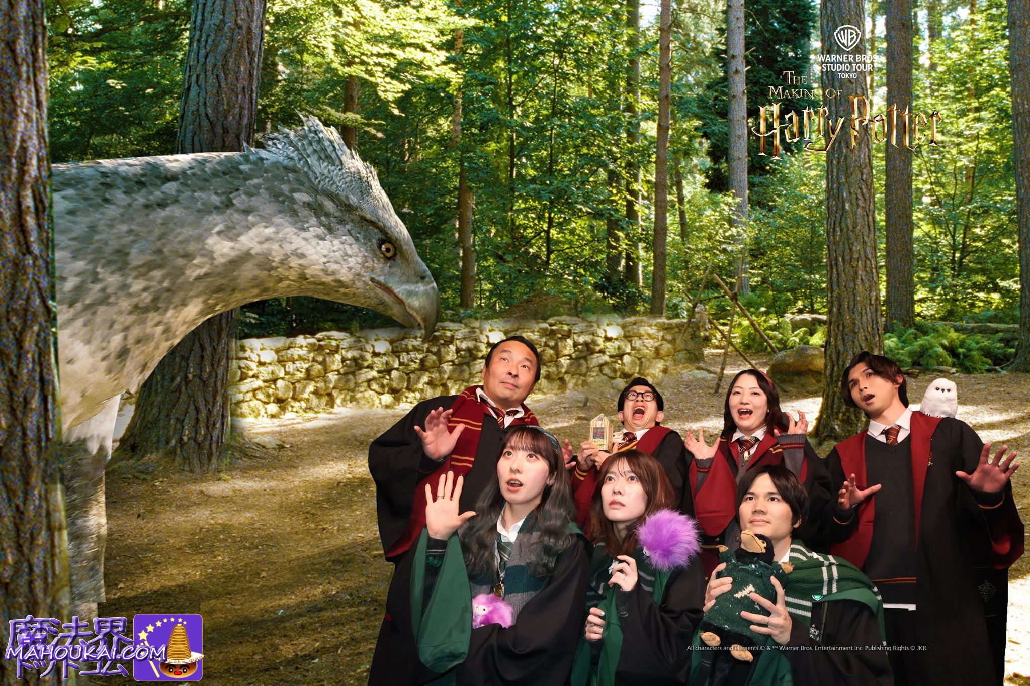 禁じられた森でバックビークと遭遇記念写真 箒で飛行撮影体験「ほうきエクスペリエンス」 ハリー・ポッター スタジオツアー東京 解説ガイド