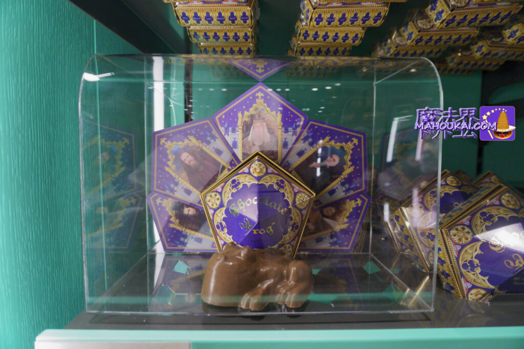 Chocolate Frog Chocolate 'Harry Potter Studio Tour Tokyo' sweets list Honeydukes｜Studio Tour Shops & Railway Shops