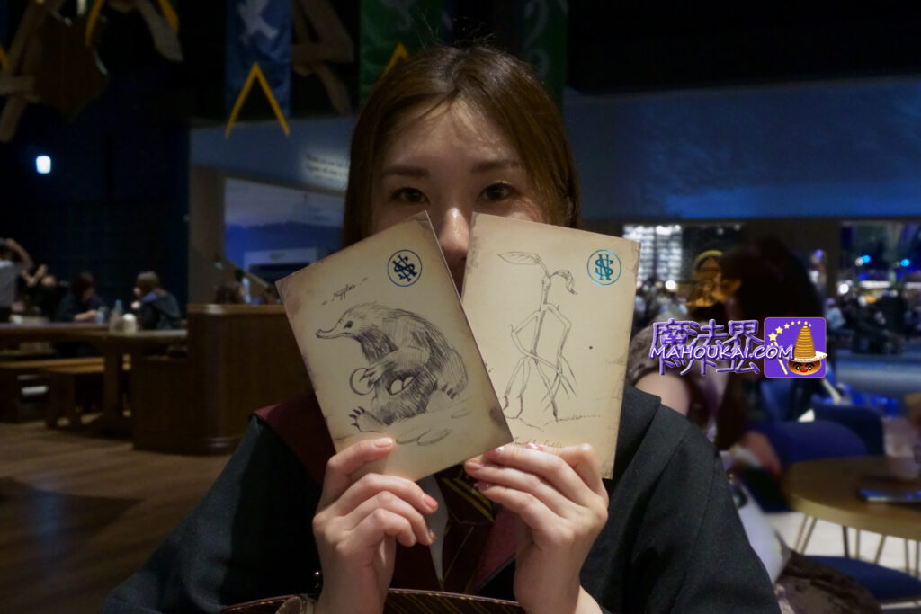 MINARIMA Newt's Memo 'Magical Animals' Sketch Postcard｜Harry Potter Studio Tour Tokyo (MINARIMA)