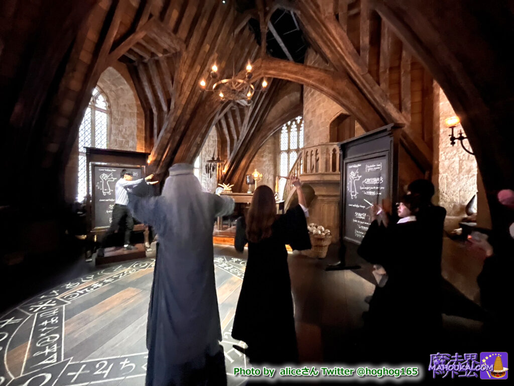 Defence Against the Dark Arts Class - Death Eaters and Wand Combat Experience｜Harry Potter Studio Tour Tokyo (Toshimaen Site)