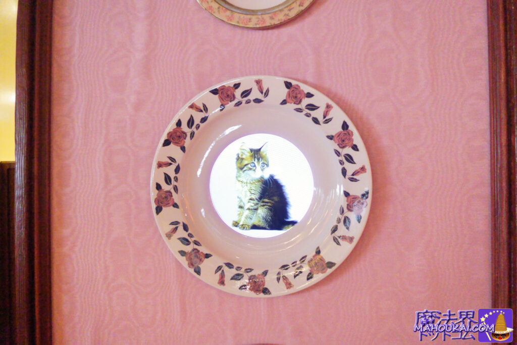 【隠れスポット】アンブリッジの猫のお皿は実際に動いている♪「アンブリッジのアフタヌーンティー」ハリー・ポッター スタジオツアー東京【食レポ】2023年10月 バックロットカフェ