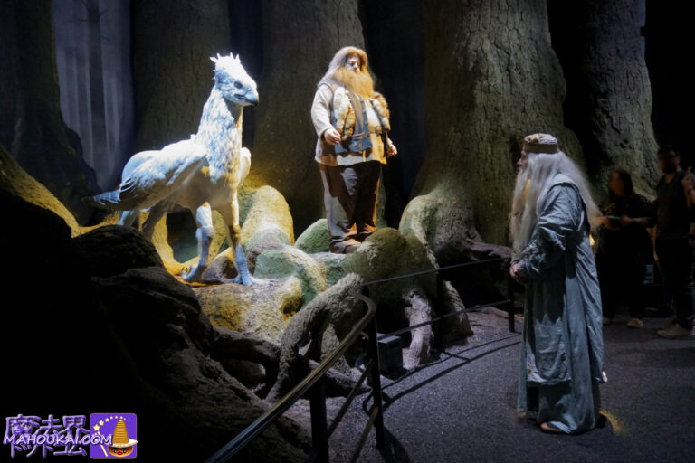 Say hello to Hagrid and Hippogriff Buckbeak â"¢ Forbidden Forest Harry Potter Studio Tour Tokyo [Detailed report].